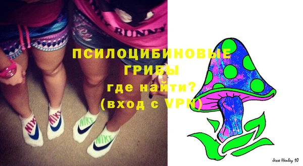 альфа пвп Гусь-Хрустальный
