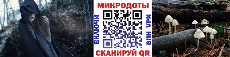 Псилоцибиновые грибы мухоморы  Купить  Кондрово 